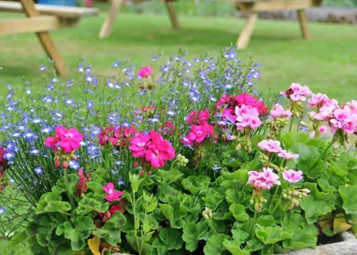 De La Cholotte Les Rouges-Eaux