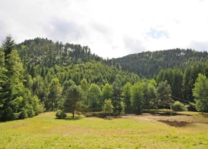 De La Cholotte Les Rouges-Eaux
