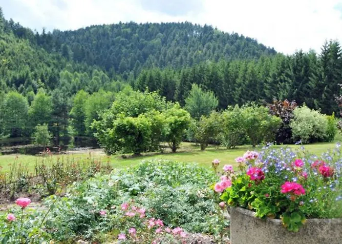 Inn De La Cholotte *