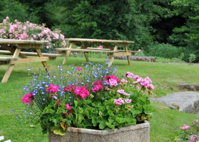 De La Cholotte Inn Les Rouges-Eaux